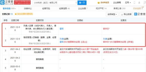 雷軍卸任小米科技武漢高管職務，聚焦戰略布局與數據處理業務發展